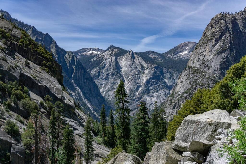 Sequoia Splendor, Inside Kings Canyon Np By Visitors Center Wilsonia Exterior foto