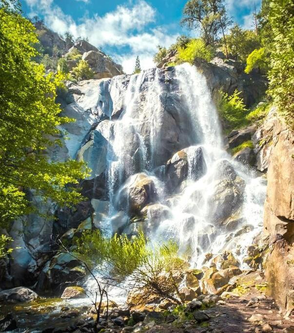 Sequoia Splendor, Inside Kings Canyon Np By Visitors Center Wilsonia Exterior foto