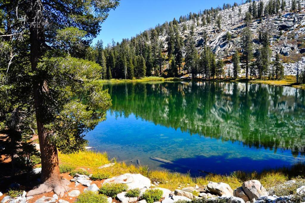 Sequoia Splendor, Inside Kings Canyon Np By Visitors Center Wilsonia Exterior foto