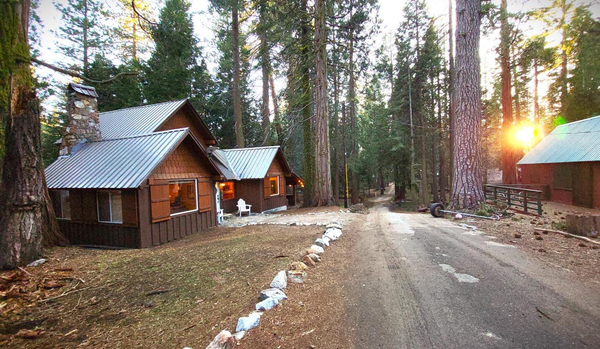 Sequoia Splendor, Inside Kings Canyon Np By Visitors Center Wilsonia Exterior foto